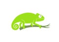 Green chameleon. Abstract chameleon on white background Royalty Free Stock Photo