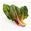 Green chard with large, firm stalks. White beetroot.