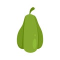 Green chayote icon flat isolated vector