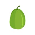 Green chayote plant icon flat isolated vector