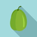 Green chayote plant icon, flat style