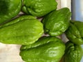 Green chayote is a vegetable that can get rid of free radicals