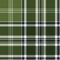 Green checkered plaid seamless fabric texture