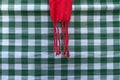 Green checkered tablecloth with red cloth Royalty Free Stock Photo