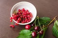 Green cherry leaves, red currant sprigs and ripe cherries in a white bowl closeup Royalty Free Stock Photo