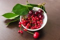 Green cherry leaves, red currant sprigs and ripe cherries in a white bowl closeup Royalty Free Stock Photo