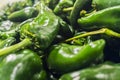 Green chile pepper background Royalty Free Stock Photo
