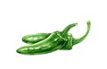 Green chili jalapeno peppers watercolor illustration. Hot spicy vegetable capsicum annuum. Fresh whole chili pepper ingredient. Royalty Free Stock Photo