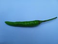 Green chili pepers Royalty Free Stock Photo