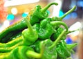 Green chili pepers Royalty Free Stock Photo