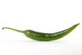 Green Chili Pepper Royalty Free Stock Photo