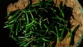 Green chili pepper in bamboo basket. Exposed to the morning sun