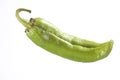 Green Chili Pepper Isolated On White Royalty Free Stock Photo