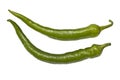 Green chili peppers Royalty Free Stock Photo