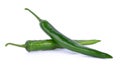 Green chili on white background