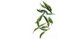Green Chilies are isolated in white background Royalty Free Stock Photo