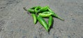 green chilis chicken lunch food Royalty Free Stock Photo