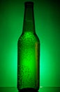 Green chilled bottle of beer Royalty Free Stock Photo