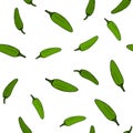 Green chilli pepper seamless pattern Royalty Free Stock Photo