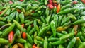 Green Chillies Background, closeup view