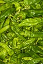 Green chillies background. Pile