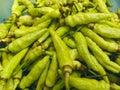 Green chillies are deductively known as Capsicum frutescens. The heat of green chillies comes from a synthetic called capsaicin