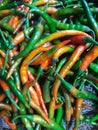 Green chillies lose their water content and turn red