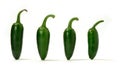 Green Chillies Panorama Royalty Free Stock Photo