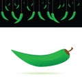 Green chillies vector illustration