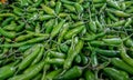 Green chillis for sale piled in vegetable market Royalty Free Stock Photo