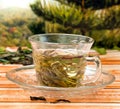 Green China Tea Means Thirsty Wellness And Drink