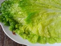 Green chinese cabage on white plate Royalty Free Stock Photo