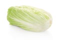 Green chinese long cabbage