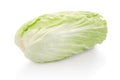 Green chinese long cabbage