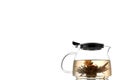 Green Chinese tea flower bud blooming in glass teapot, Copy space for the ads