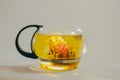 Green Chinese tea flower bud blooming in glass teapot. on white background Royalty Free Stock Photo