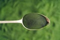 Green chlorella algae powder on a spoon. Healthy food Royalty Free Stock Photo