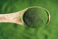 Green chlorella algae powder on a spoon. Healthy food Royalty Free Stock Photo