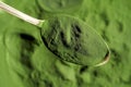 Green chlorella algae powder on a spoon, top view Royalty Free Stock Photo