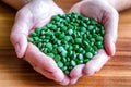 Green chlorella pills Royalty Free Stock Photo
