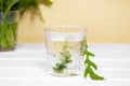 Green Chlorophyll drink in glass with water drops on white table, Orange Background. Green Drops in clear water Royalty Free Stock Photo