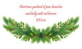 Christmas garland with Christmas tree branches, green holly leaves and red berries. divider, border for decorating sites, cards, Royalty Free Stock Photo