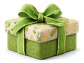 a green Christmas gift box isolated Royalty Free Stock Photo