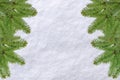 Green Christmas pine tree and snow surface white background Royalty Free Stock Photo