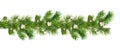 Green Christmas pine twigs and snowberries in a festive garland isolated on white
