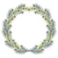 Green christmas pine wreath. blue spruce christmas wreath.