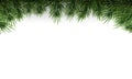 Green Christmas tree branches border on a white background. Vector Illustration.