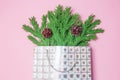 Green Christmas tree branches with cones in a gift bag on the pink background flat lay, top view. New Year`s decor in the form of