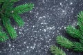 Green Christmas tree branches on winter snowbound black space ba