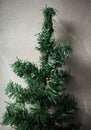 Green Christmas tree without decorations on a white textured background Royalty Free Stock Photo